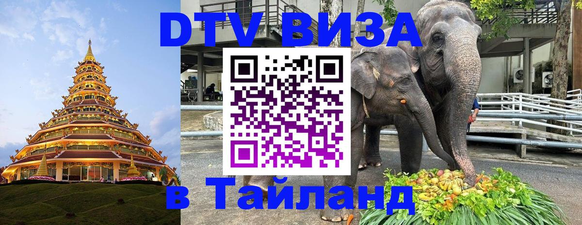 Сколько стоит DTV виза — актуальные цены, оформление даже без документов - 20.11.2025 